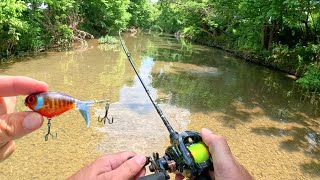 BFS Topwater Fishing Small Creek [upl. by Care]