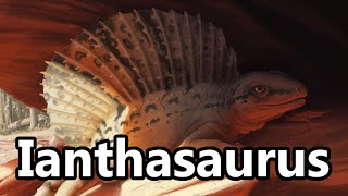 Ianthasaurus An Early Sail Backed Synapsid [upl. by Littell]