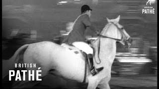 Royal International Horse Show 1965 [upl. by Are555]