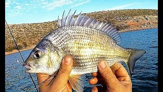 Kayak Fishing on the Murchison River Kalbarri [upl. by Hahsi]