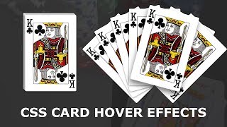 Card Hover Effects Using Html And CSS  CSS Image Hover Effect Tutorial [upl. by Doowrehs]