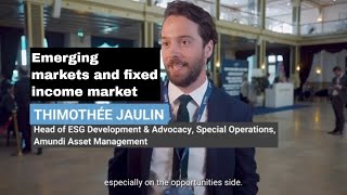 Emerging and fixed income markets  Timothée Jaulin Head of ESG Development amp Advocacy Amundi [upl. by Onofredo]