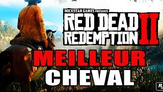 RED DEAD REDEMPTION 2  COMMENT AVOIR LE MEILLEUR CHEVAL  Elite  Pursang Arabe [upl. by Lipski]