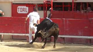 Bétons de merde devant le toril de mauguio 17 [upl. by Notlil]