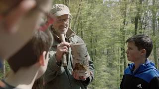 Peter Wohlleben  Hörst du wie die Bäume sprechen Eine kleine Entdeckungsreise durch den Wald [upl. by Nylhtak]