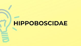 What is the meaning of the word HIPPOBOSCIDAE [upl. by Zeiger]