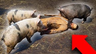 FEEDING PEOPLE TO PIGS  Red Dead Redemption 2 Outlaw Life 7 [upl. by Cerveny]