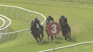 Heat 5 Doomben Jumpouts 1009 [upl. by Noiro631]