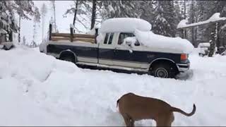 Lots Of Snow In Idaho  OffGrid amp Functioning As Usual [upl. by Libna]