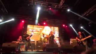 Bonnie Tyler live in Grimaud StTropez  Harley Davidson Euro Festival 2014 [upl. by Joette553]