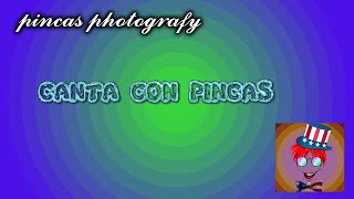 pincas photografy Balenottero canta con pincas [upl. by Ruffina]