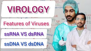 Basic Features of Viruses  ssdsDNA VS ssdsRNA microbiology virology virus [upl. by Gonick]