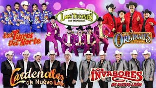 Los Tucanes De Tijuana Los Tigres del Norte Los Huracanes del Norte Invasores De Nuevo Leon [upl. by Eelarual]