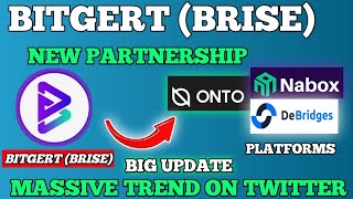 bitgert Going massive on Twitter  Brise partnership on platforms  dev making it big for 2022 [upl. by Gavrilla]