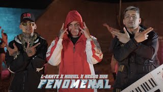 FENOMENAL  L GANTE X NORIEL X NEGRO DUB Official video [upl. by Roderic]