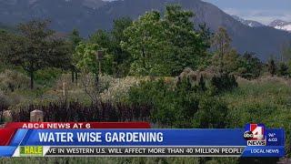 Water wise gardening terminology [upl. by Saidel187]