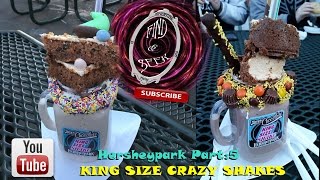 Hersheypark Part 5 KING SIZE CRAZY SHAKES [upl. by Eybbob]