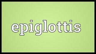 Epiglottis Meaning [upl. by Anitsrik688]