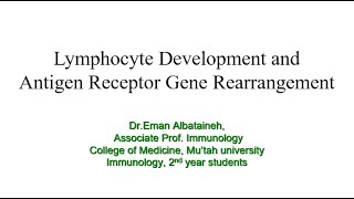 Immunology  Lymphocyte development [upl. by Ahsital]