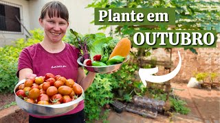 O que Plantar em OUTUBRO de 2024📅 Calendário de Plantio 🌱 Horta no Quintal 💚 [upl. by Francisco]