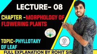 Morphology of flowering plants L8Class11Phyllotaxy of Leaf  NEETBoards By Rohit Sir [upl. by Koetke]