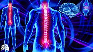 528hz Super Recovery Healing Frequency Whole Body RegenerationCell Nerve Damage Repair Healing [upl. by Yellek412]