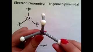 19 trigonal bipyramidalT shaped [upl. by Nivrac664]