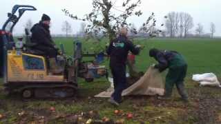 Fruitbomen rooien door loonbedrijfvankleefnl [upl. by Atrahc705]