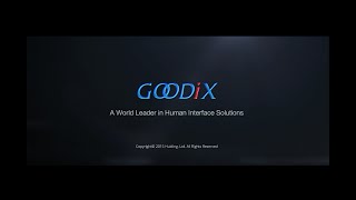 goodix introduction [upl. by Shaddock672]