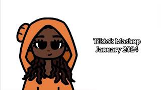 tiktok mashup january 2024 updated [upl. by Attekram478]