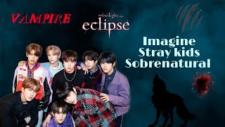 Imagine stray kids ¦ meu amor sobrenatural EP 8 ¦ LEIAM A DESCRIÇÃO [upl. by Aiotal]