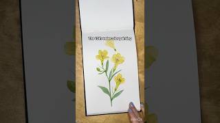 Watercolor for beginners like me artjournal watercolor shorts [upl. by Eldwun848]