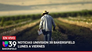 🔴En vivo Noticias Univision Bakersfield Carreras de carros legales en Mendota [upl. by Wales]