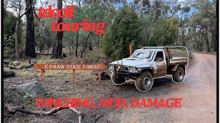 Everyone ended up winching things get difficult in cobaw state forest  winching  flex  mud [upl. by Bekaj]