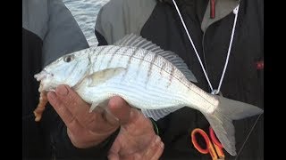 Trabucco TV  Surfcasting  Piccole spiagge [upl. by Nalani]