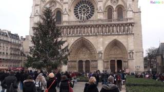 All bells ringing at Notre Dame Cathedral in Paris [upl. by O'Hara]