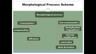 Morphological Processes Definitions and Examples [upl. by Aowda]