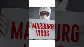 A rare Marburg virus disease virus germany marburg marburgvirus africa monkey science shorts [upl. by Yhtnomit557]