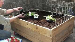 Moestuin op wielen 14 april 2012mp4 [upl. by Clellan]