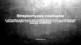 Medical vocabulary What does Streptomyces coelicolor mean [upl. by Akerue]