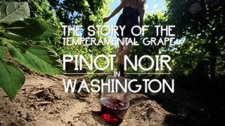 Original Fare  Pinot Noir in Washington  Original Fare  PBS Food [upl. by Tama]