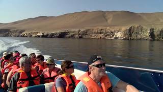 Les îles Ballestas  Guy Richer au Pérou avec Voyages Traditours [upl. by Atirehc403]