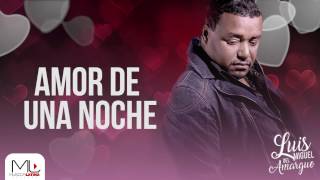 Amor de una Noche  Luis Miguel del Amargue  Audio Oficial [upl. by Yenetruoc]