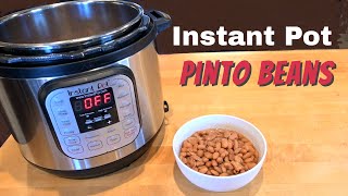 Instant Pot Pinto Beans  No Soaking  Ready in about an hour and a half [upl. by Etz]