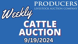 9192024  Cattle Auction  Producers Livestock Auction Company [upl. by Assetal]