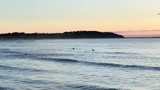 Sunrise at Dee Why Beach Surfers waiting Sunlight on the water [upl. by Laon]