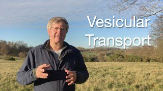 Organelles Understanding Vesicular Transport [upl. by Hnilym792]