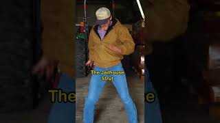 ELVIS DANCE MOVES TO LEARN 🕺🏼🙌🏻 dance elvispresley farm [upl. by Bathsheb]