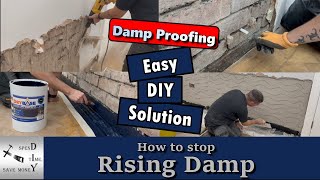 How to stop rising damp easy DIY solution [upl. by Christa453]