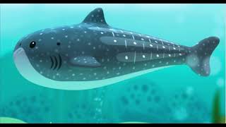 OctonautsWhale Shark Sound Effects [upl. by Wolsky211]